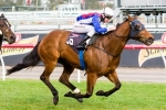 We’re Gonna Rock to Continue Comeback in Kevin Heffernan Stakes