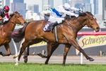 Kiwis Out to Steal Doomben Cup Glory