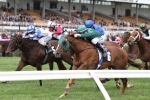 Detective Holds On to Win Starlight Express Room Stakes Detective Holds On to Win Starlight Express Room Stakes