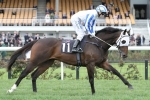 Caulfield Cup outsider Hardham suited by track and distance