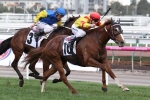 Palentino upsets Black Heart Bart to win Makybe Diva Stakes Palentino upsets Black Heart Bart to win Makybe Diva Stakes