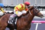 Tosen Stardom out, Weir left with Palentino in Doncaster Mile