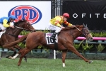 Palentino at Correct CF Orr Stakes Odds Palentino at Correct CF Orr Stakes Odds