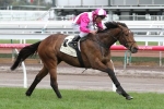 Black Heart Bart On Top Of Railway Stakes Weights