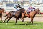 Lumosty New Thousand Guineas Favourite