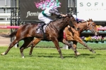 Afleet Esprit continues winning form in Cap D’Antibes Stakes Afleet Esprit continues winning form in Cap D’Antibes Stakes
