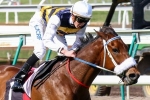 2014 Mackinnon Stakes: Melbourne Cup hope Brambles draws midfield 2014 Mackinnon Stakes: Melbourne Cup hope Brambles draws midfield