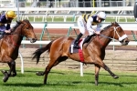 2014 Caulfield Cup Betting: Brambles Best Backed 2014 Caulfield Cup Betting: Brambles Best Backed