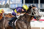 Chautauqua in for good Spring after Bobby Lewis Quality win Chautauqua in for good Spring after Bobby Lewis Quality win