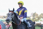 Chautauqua to rubber stamp ability in Gilgai Stakes