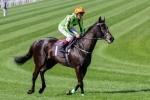Group 1 Winner Commanding Jewel Retired Group 1 Winner Commanding Jewel Retired