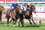 Disrupted Caulfield Guineas Preparation No Issue For Merion