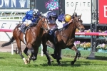 Merion On Trial for Sydney in Australian Guineas