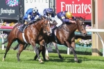 Merion On Track For Australian Guineas Merion On Track For Australian Guineas