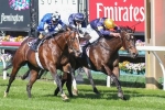 Merion On Track For Australian Guineas