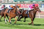 Looks Like The Cat Gets His Chance In Caulfield Guineas