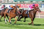 Looks Like The Cat Gets His Chance In Caulfield Guineas Looks Like The Cat Gets His Chance In Caulfield Guineas