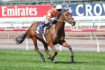 Who Shot Thebarman Can Turnaround Melbourne Cup Form Who Shot Thebarman Can Turnaround Melbourne Cup Form