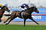 Team Williams Dominates 2013 Melbourne Cup Field