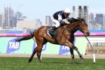2016 Melbourne Cup Horses Guide 2016 Melbourne Cup Horses Guide