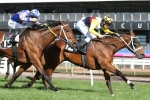 French Emotion Returns To Winning Form In Blazer Stakes French Emotion Returns To Winning Form In Blazer Stakes