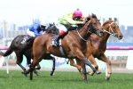 Inside Agent On Carbine Club Stakes Path After Poseidon Stakes Win