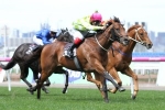 Inside Agent Ready for 2017 Australian Guineas Inside Agent Ready for 2017 Australian Guineas