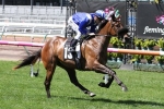 Debonairly firms in Magic Millions 2yo Classic betting