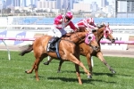 The Quarterback Records Brilliant Gilgai Stakes Victory