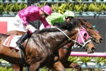 Wine Bush Into Victoria Derby Calculations With UCI Stakes Win