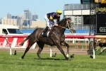 Chautauqua To Start All Aged Stakes Favourite