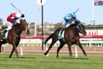 Maastricht Still A Chance For Australian Guineas