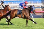 Myer Classic a Chance for Blazer Stakes Winner Forever Loved Myer Classic a Chance for Blazer Stakes Winner Forever Loved