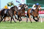 2014 Caulfield Cup Tips: Lucia Valentina A Deserving Favourite