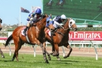 Magicool Wins 2014 UCI Stakes