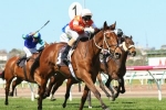 Who Shot Thebarman To Caulfield Cup after Bart Cummings Win