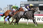 2015 Manikato Stakes Tips: Chautauqua The Horse To Beat