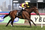 Melbourne Cup Confirmed for The Bart Cummings Winner Let’s Make Adeal