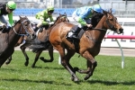Sweet Sherry out of Thousand Guineas Prelude
