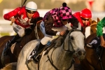 Heathcote Hopeful Fire Up Fifi Can Overcome Wide Draw Heathcote Hopeful Fire Up Fifi Can Overcome Wide Draw