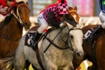 Fire Up Fifi Sizzling Before Wiggle Stakes