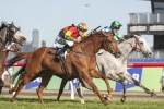 Happy Trails is ready to sprint in Spring Stakes Happy Trails is ready to sprint in Spring Stakes