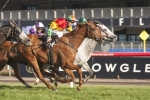 Plenty Of Talent In Turnbull Stakes Nominations Plenty Of Talent In Turnbull Stakes Nominations