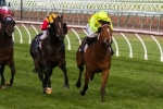 Platelet Returns To The Winners Circle In Gilgai Stakes Platelet Returns To The Winners Circle In Gilgai Stakes