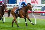 Risen From Doubt Close To Peak Fitness Ahead Of Todman Stakes Risen From Doubt Close To Peak Fitness Ahead Of Todman Stakes