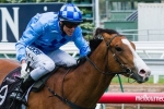 Risen From Doubt has good Melbourne form for Silver Slipper Stakes Risen From Doubt has good Melbourne form for Silver Slipper Stakes