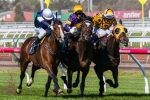 Araldo To The Paddock With Stress-Fracture Of The Vertebrae Araldo To The Paddock With Stress-Fracture Of The Vertebrae