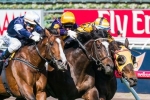 Araldo Shortens in 2014 Caulfield Cup Betting