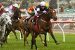 Williams Confident Green Moon Will Run Well In 2014 Turnbull Stakes Williams Confident Green Moon Will Run Well In 2014 Turnbull Stakes