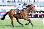 Amelie’s Star escapes penalty for Caulfield Cup and Melbourne Cup